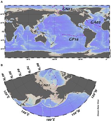 The Effect of Particle Composition and Concentration on the Partitioning Coefficient for Mercury in Three Ocean Basins